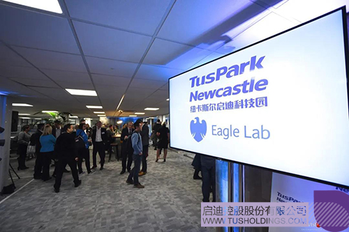 1636353154319999.jpg 2c.jpg