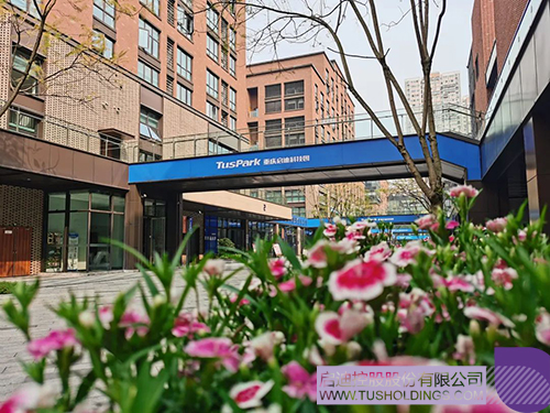 1652409102365445.jpg 1c.jpg