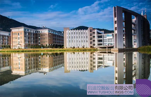 1653534900237509.jpg 1c.jpg