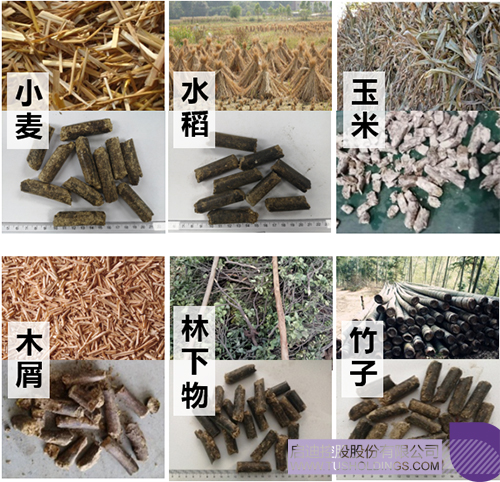 1683530232269030.jpg 微信圖片_20230508151032c.jpg