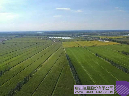 1724812046302578.jpg 微信圖片_20240828102011c.jpg